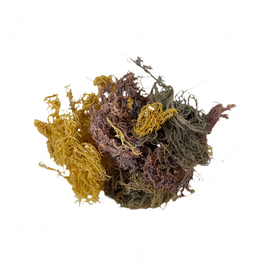 Raw St. Lucian Multi-Spectrum Sea Moss